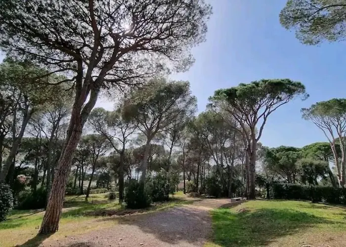 Chez K&d Zen Apartment Saint-Raphael (Var)